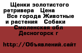 Щенки золотистого ретривера › Цена ­ 15 000 - Все города Животные и растения » Собаки   . Смоленская обл.,Десногорск г.